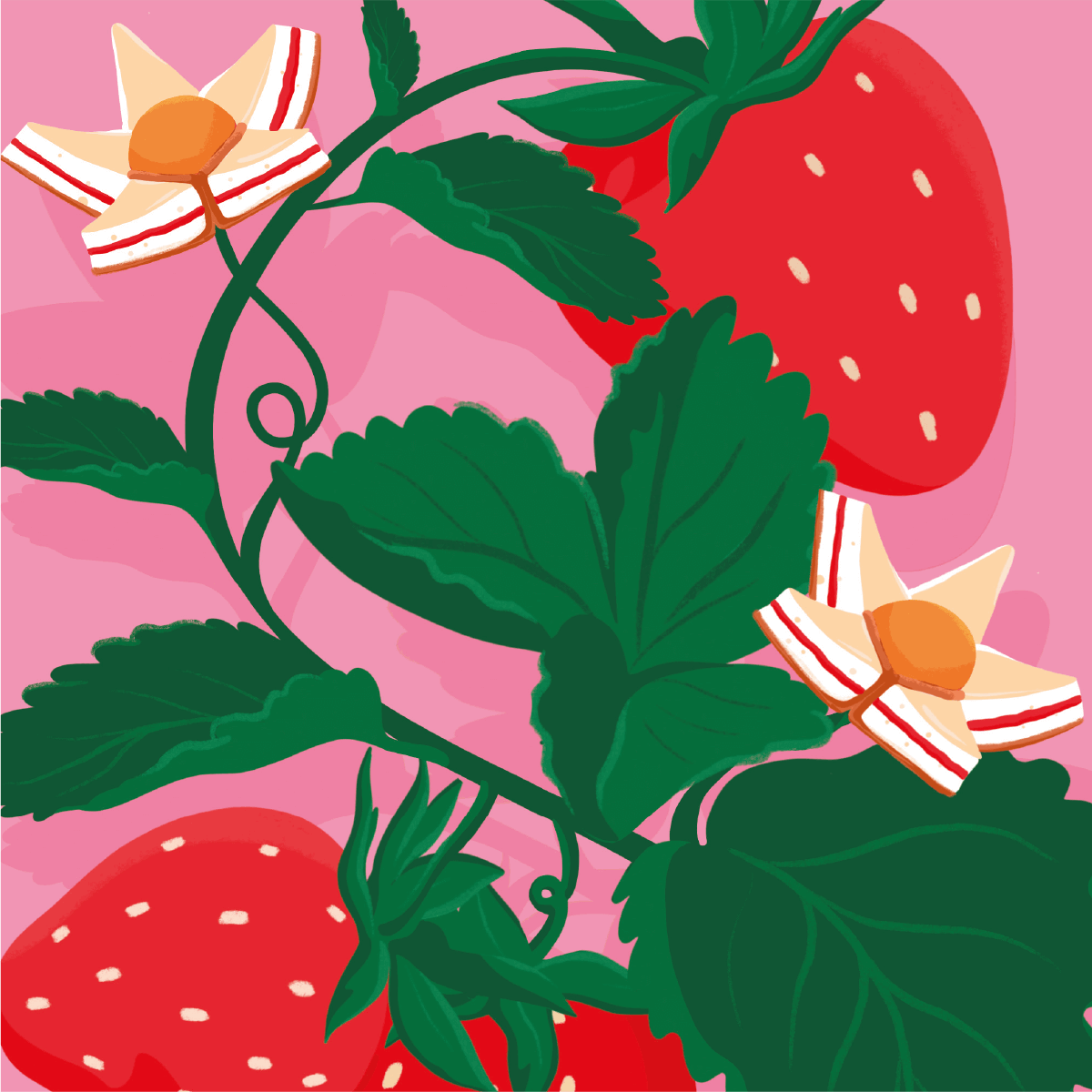 mymuesli-strawberry-cheesecake-bio-m-sli image 6