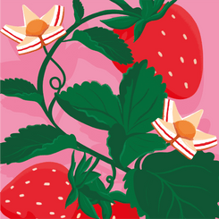 mymuesli-muesli-cheesecake-fraise-bio-m-sli image 6